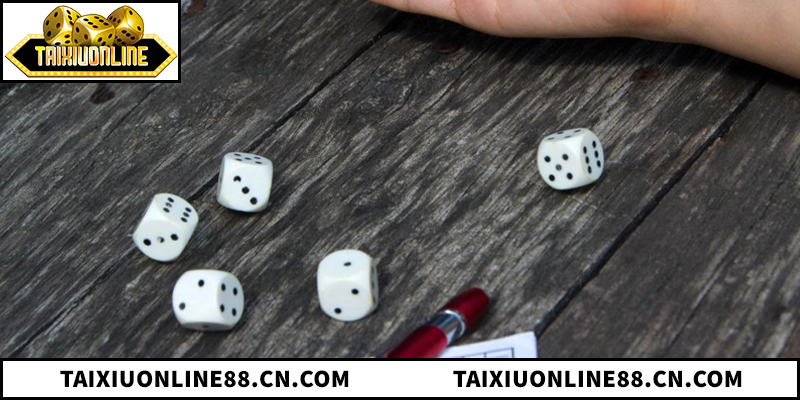 Khám phá quy trình so sánh tài xỉu livestream và tài xỉu 3D