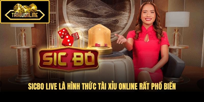 Sicbo Live là hình thức Tài Xỉu Online rất phổ biến
